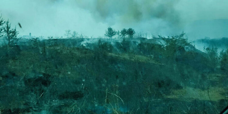 Çanakkale'de orman yakınında ot yangını