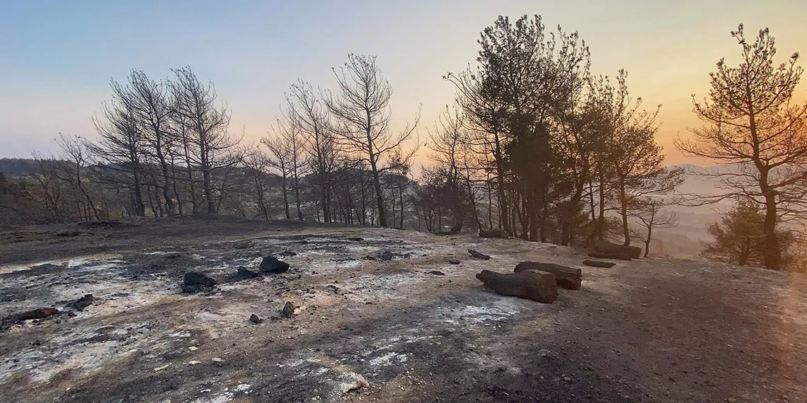 Çanakkale'deki orman yangını 3'üncü gününde