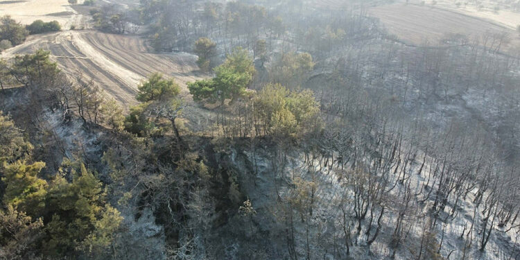 Çanakkale'deki orman yangınında 2'nci gün