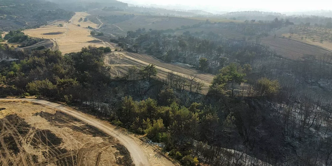 Canakkaledeki orman yangininda 2nci guns - öne çıkan - haberton