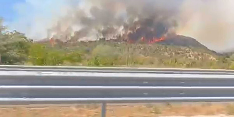 Çankırı'da orman yangını