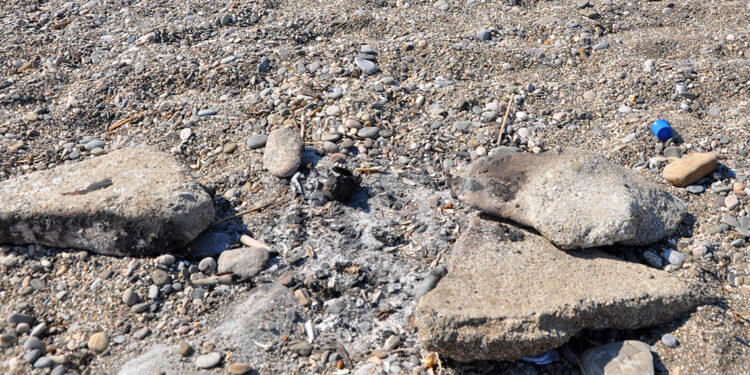 Caretta caretta yuvası üzerinde mangal yaktılar