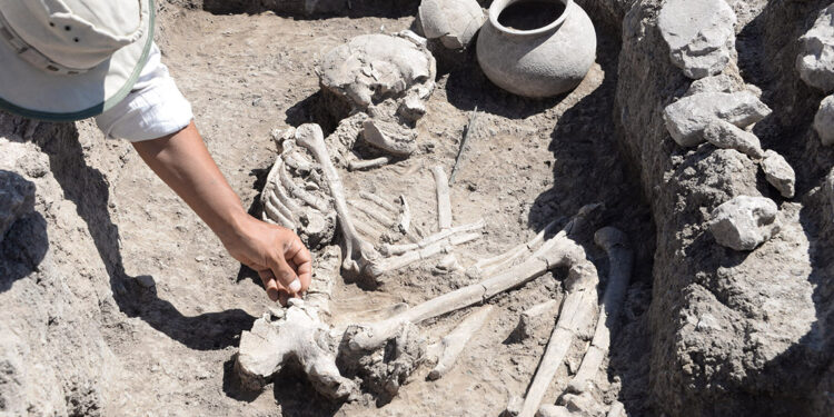 Çayönü Tepesi'nde ilk Tunç Çağı'na ait 5 mezar daha bulundu