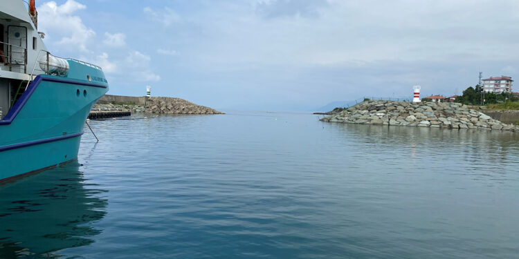 Deniz suyu yüzey sıcaklıklarındaki artış son 53 yılın zirvesinde