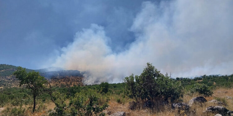 Diyarbakır'da örtü yangını