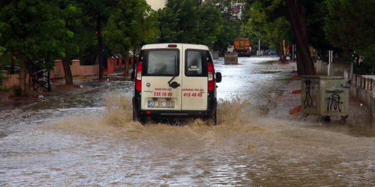 Edirne'de rüzgar ve yağmur etkili oldu; ağaçlar devrildi