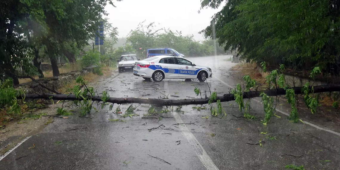 Edirnede ruzgar ve yagmur etkili oldu agaclar devrildie - yerel haberler - haberton