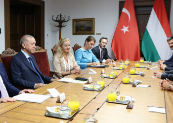 Erdoğan, Macaristan Cumhurbaşkanı ile görüştü