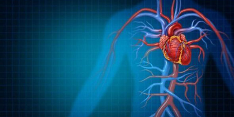 Ereksiyon uzunluğu ve sıklığı kalp sağlığını etkiliyor 