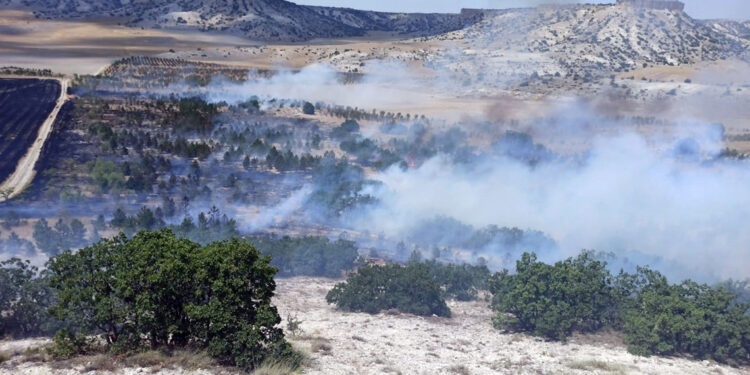 Eskişehir'de 3 orman yangını erken müdahaleyle söndürüldü
