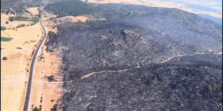 Eskişehir'deki orman yangını, 23 saatte kontrol altında