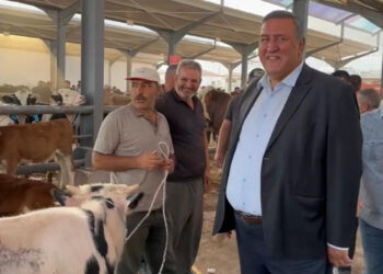 Yem fiyatlarındaki artış üreticileri bunalttı