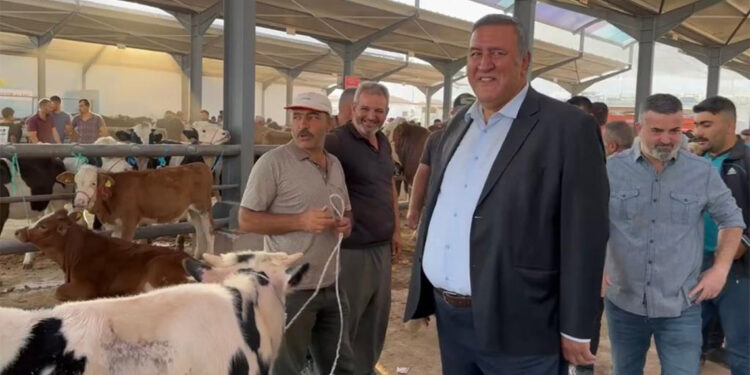 Yem fiyatlarındaki artış üreticileri bunalttı