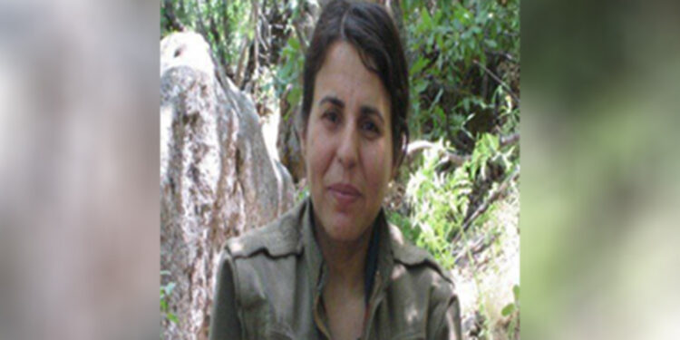 Gri kategoride aranan terörist etkisiz hale getirildi