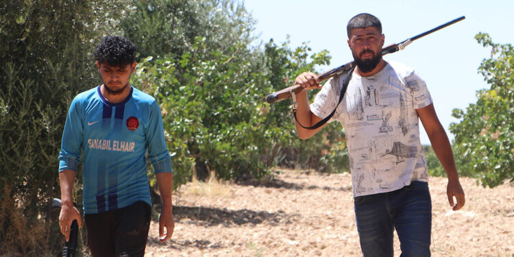 Günlük 1000 TL'ye fıstık bahçelerinde nöbet tutuyorlar