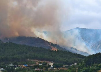 Hatay Antakya'da orman yangını