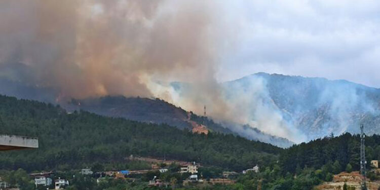 Hatay Antakya'da orman yangını