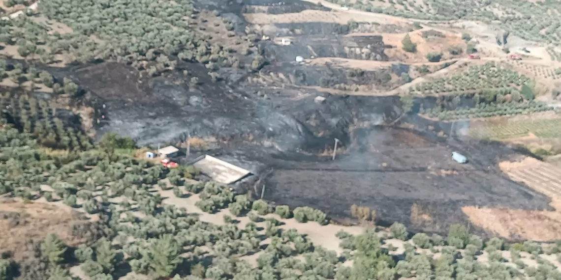 Hatayda zeytinlikte cikan yangin ormana sicradir - öne çıkan - haberton