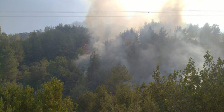 Hatay'ın Defne ilçesinde orman yangını