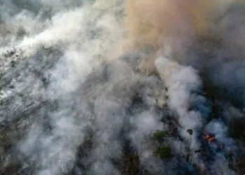 Havai'deki orman yangınlarında can kaybı 80’e yükseldi