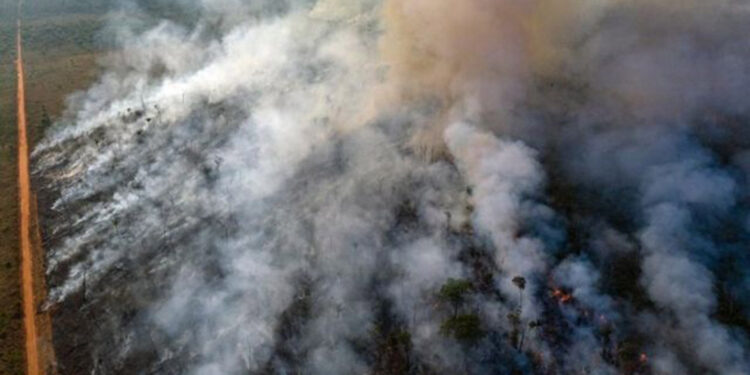 Havai'deki orman yangınlarında can kaybı 80’e yükseldi