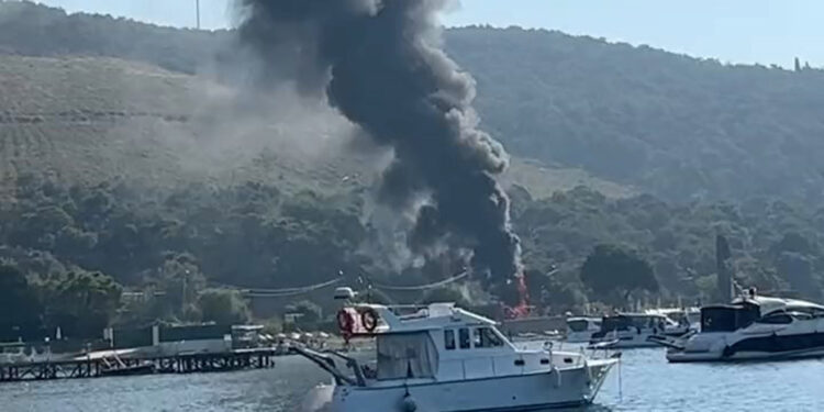 Heybeliada'da yangın