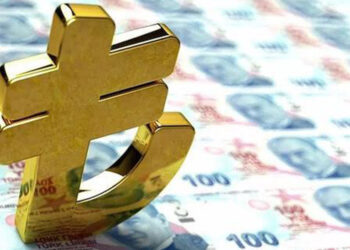 İç borç ve enflasyon ilişkisi 