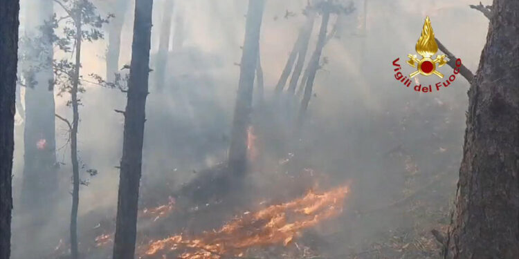 İtalya'nın kuzeyinde orman yangını