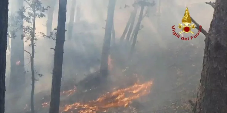 İtalya'nın kuzeyinde orman yangını