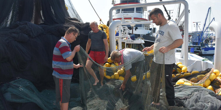 İzmir'de balıkçıların '1 Eylül' hazırlığı