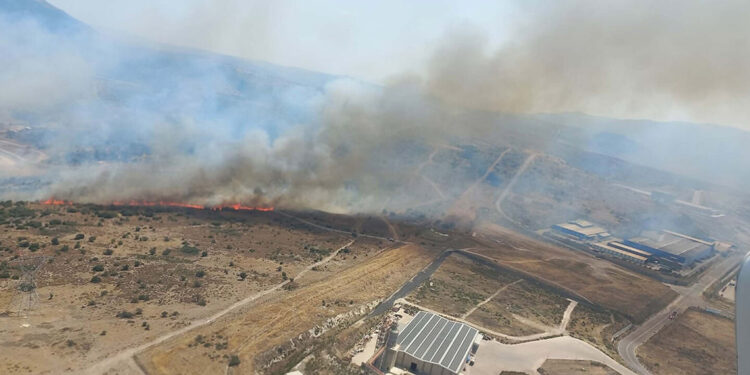 İzmir'de otluk alanda yangın