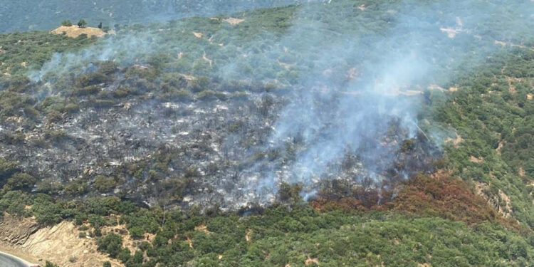 İzmir'de otomobilde çıkan yangın ormana sıçradı