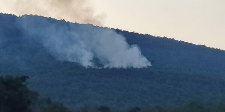 İzmir'de yıldırım düşen ormanda yangın