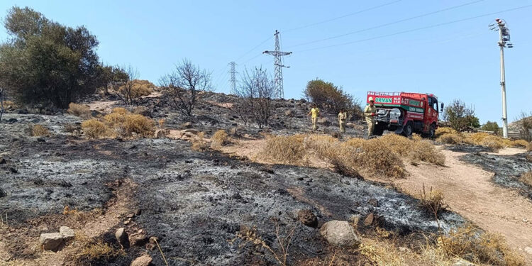 İzmir'deki makilik yangınında 3 hektar alan zarar gördü