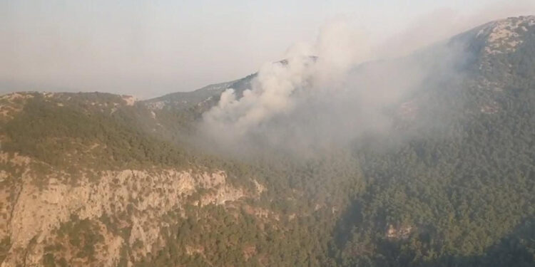 İzmir'in Kemalpaşa ilçesinde orman yangını