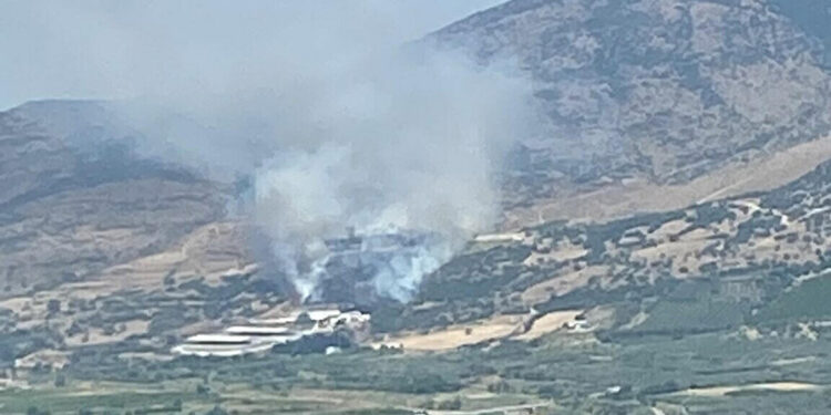 İzmir'in Menemen ilçesinde orman yangını