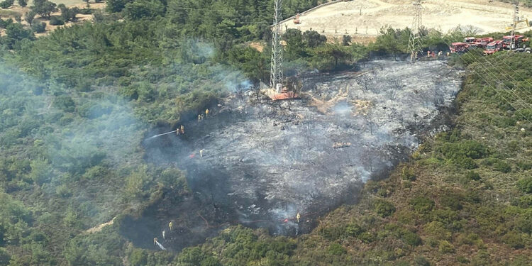 İzmir'in Urla ilçesinde orman yangını