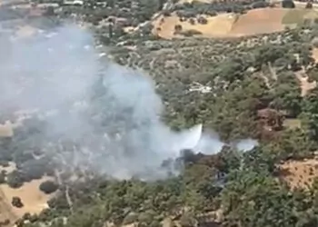İzmir'in kiraz ilçesindeki orman yangını kontrol altında