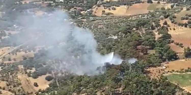 İzmir'in Kiraz ilçesindeki orman yangını kontrol altında