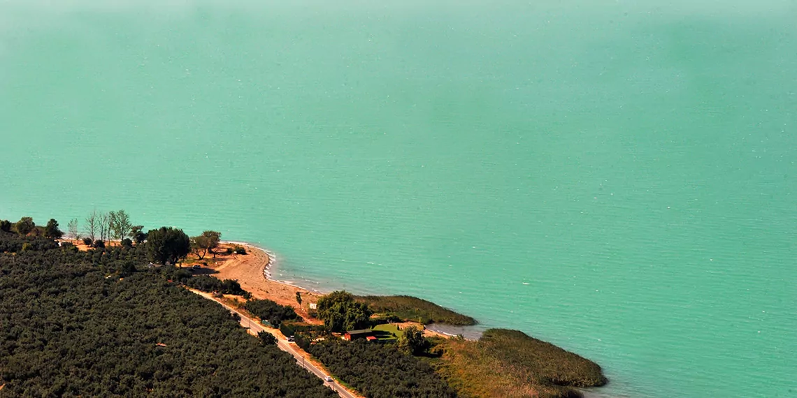 Iznik golu alg patlamasi nedeniyle turkuaza burundur - öne çıkan - haberton