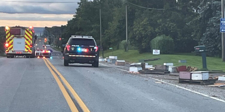 Kanada’da 5 milyon arıyı taşıyan kamyon kaza yaptı