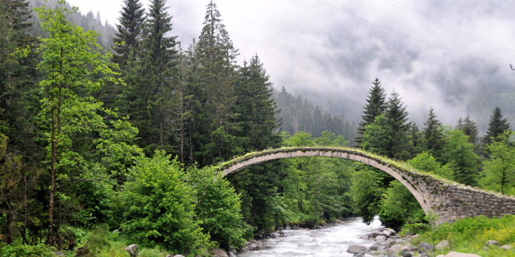 Karadeniz’de ‘buharlaşma’da artış tehlikesi