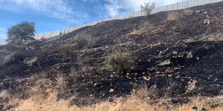 Kartal'da otluk alanda yangın