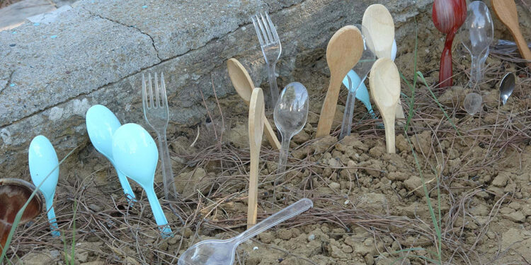 'Kaşıklı Dede Yatırı'yla ilgili gerçek başka çıktı