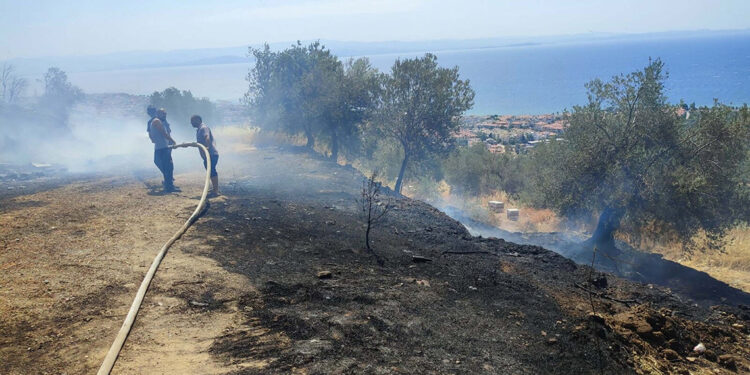 Kaz Dağları'nda çıkan yangın, kontrol altına alındı