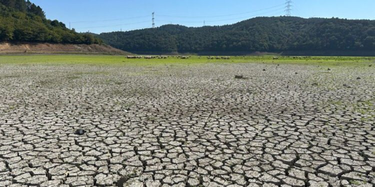 Kemerburgaz Kent Ormanı'ndaki göl tamamen kurudu