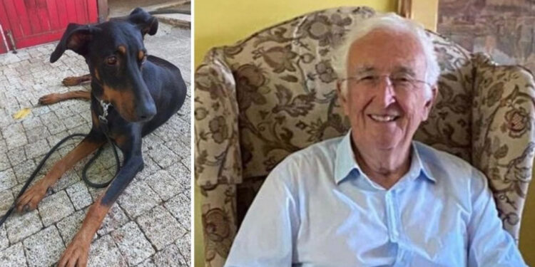 Korhan Berzeg için yeni arama rotası; Tina ile keşif