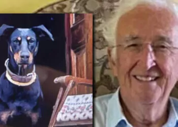 Korhan berzeg'in köpeği tina, 74 gün sonra eve döndü
