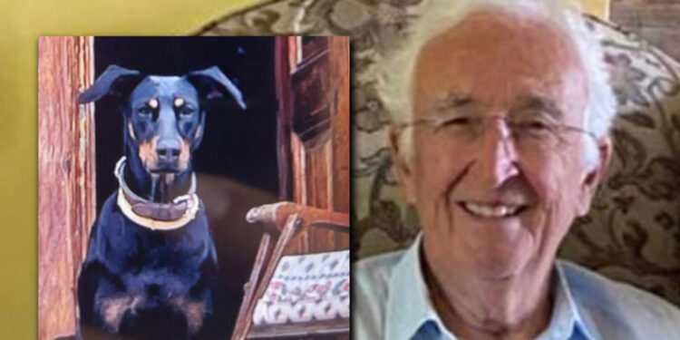 Korhan Berzeg'in köpeği Tina, 74 gün sonra eve döndü