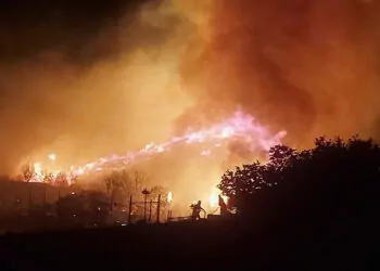 Marmara adası'nda maki yangını